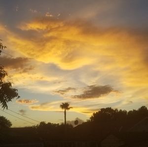 Meet your Posher, Jorge